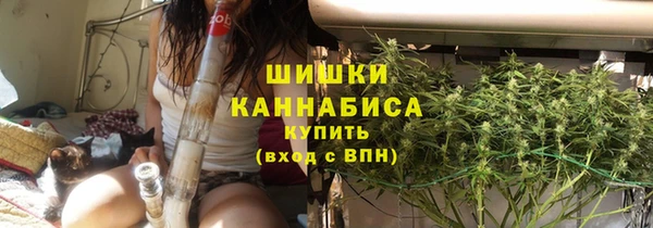 альфа пвп Новодвинск