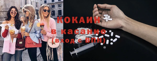 шишки Алексеевка