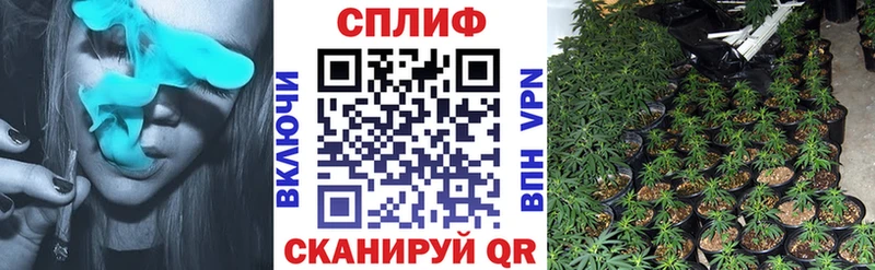 Марихуана сатива  Малаховка 